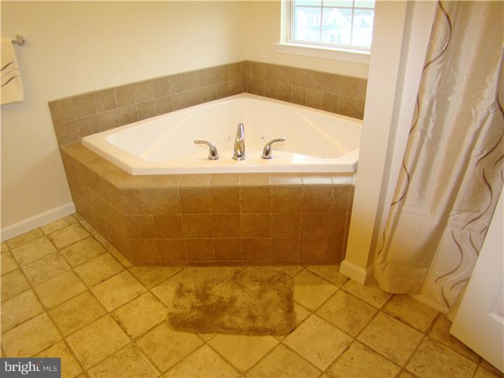 229 Longview Drive Sinking Spring, PA 19608 - Photo 15 of 25 Master Bathroom