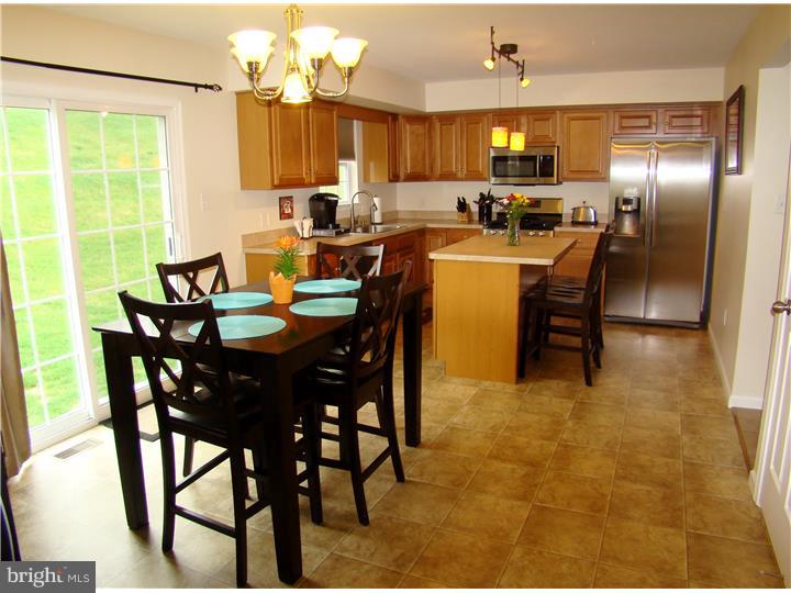 229 Longview Drive Sinking Spring, PA 19608 - Photo 4 of 25 Kitchen