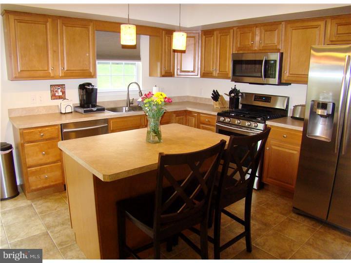 229 Longview Drive Sinking Spring, PA 19608 - Photo 5 of 25 Kitchen