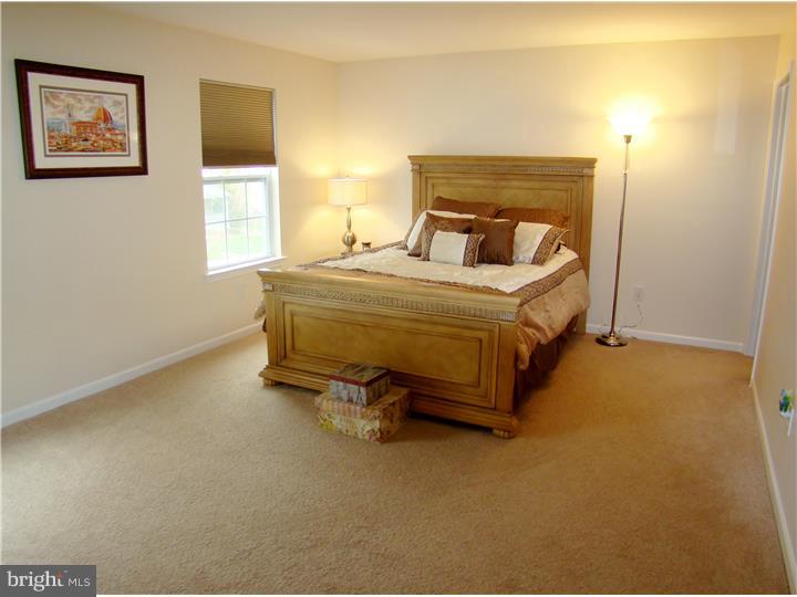 229 Longview Drive Sinking Spring, PA 19608 - Photo 9 of 25 Master Bedroom