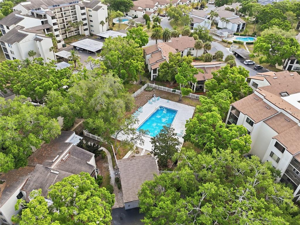 700 Starkey Road, Unit 622 Largo, FL 33771 - Photo 32 of 34