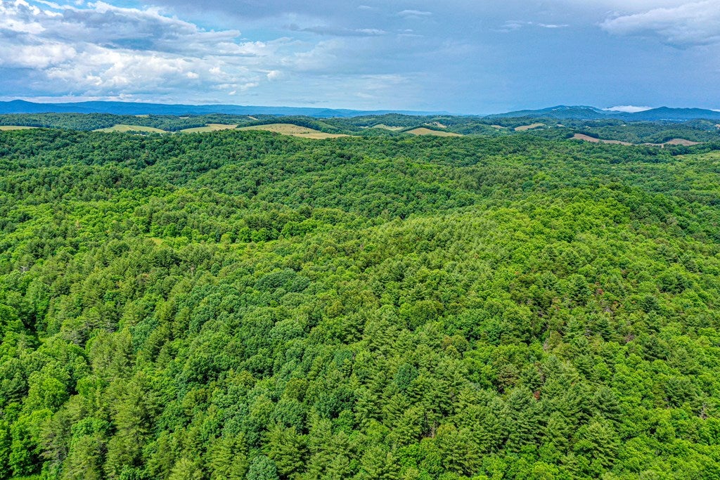 4662 Cedar Springs Road, Unit 4 AND 002 Rural Retreat, VA 24368 - Photo 7 of 52 Gallery Image 7