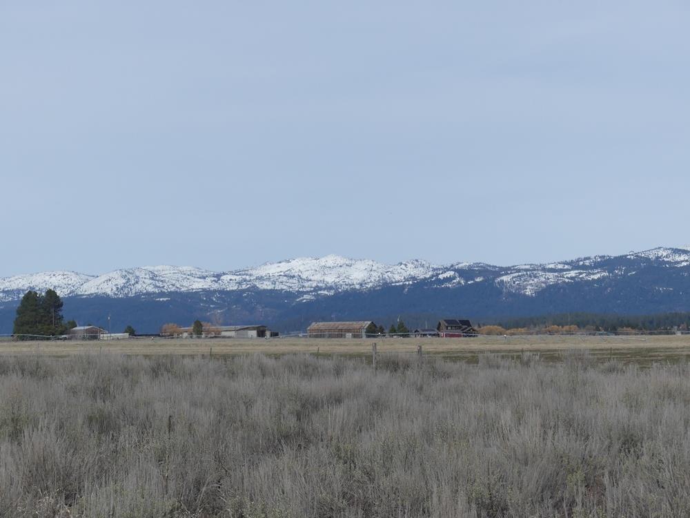 Lot 38 Nisula Road, Unit 38 McCall, ID 83638 - Photo 13 of 29
