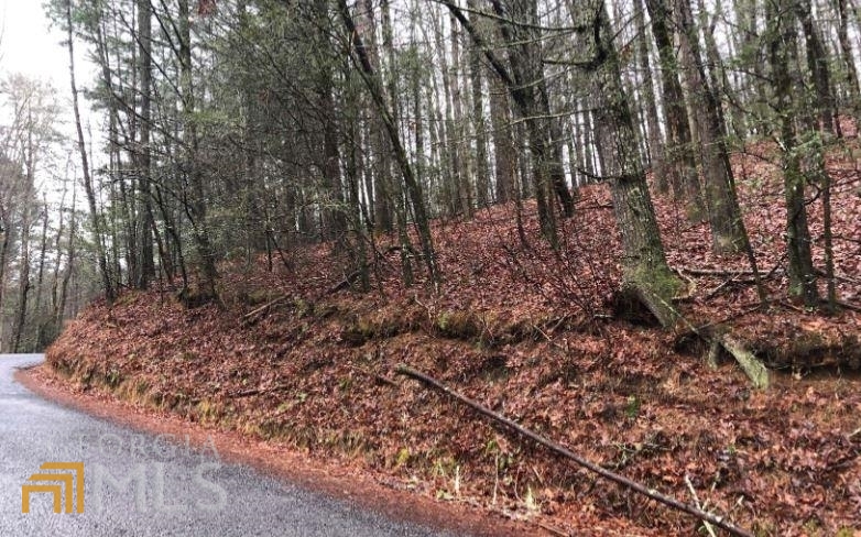 Lot 5 Kings Ridge Estates Blue Ridge, GA 30513 - Photo 1 of 1 a view of a forest with trees