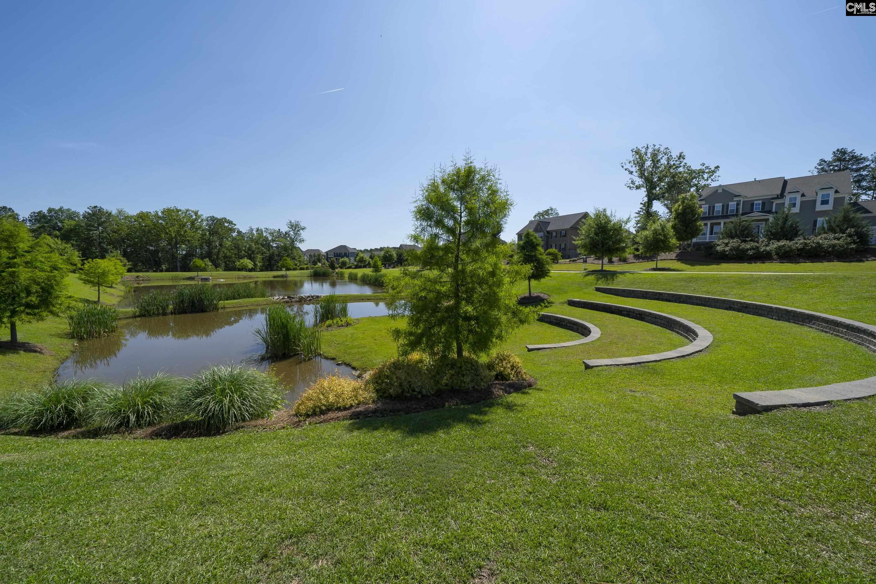 515 Malachite Lane Chapin, SC 29036 - Photo 61 of 63 a view of a lake with a big yard