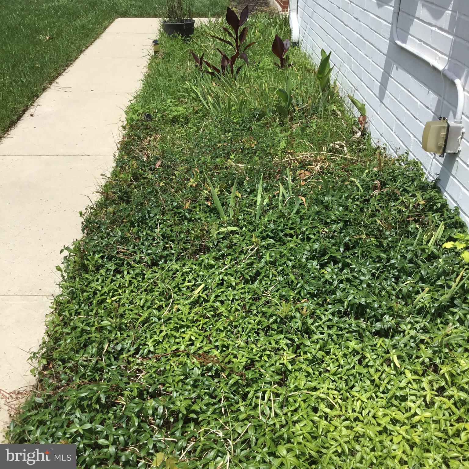703 Falconer Road Joppa, MD 21085 - Photo 4 of 67 Space for your Favorite Greenery