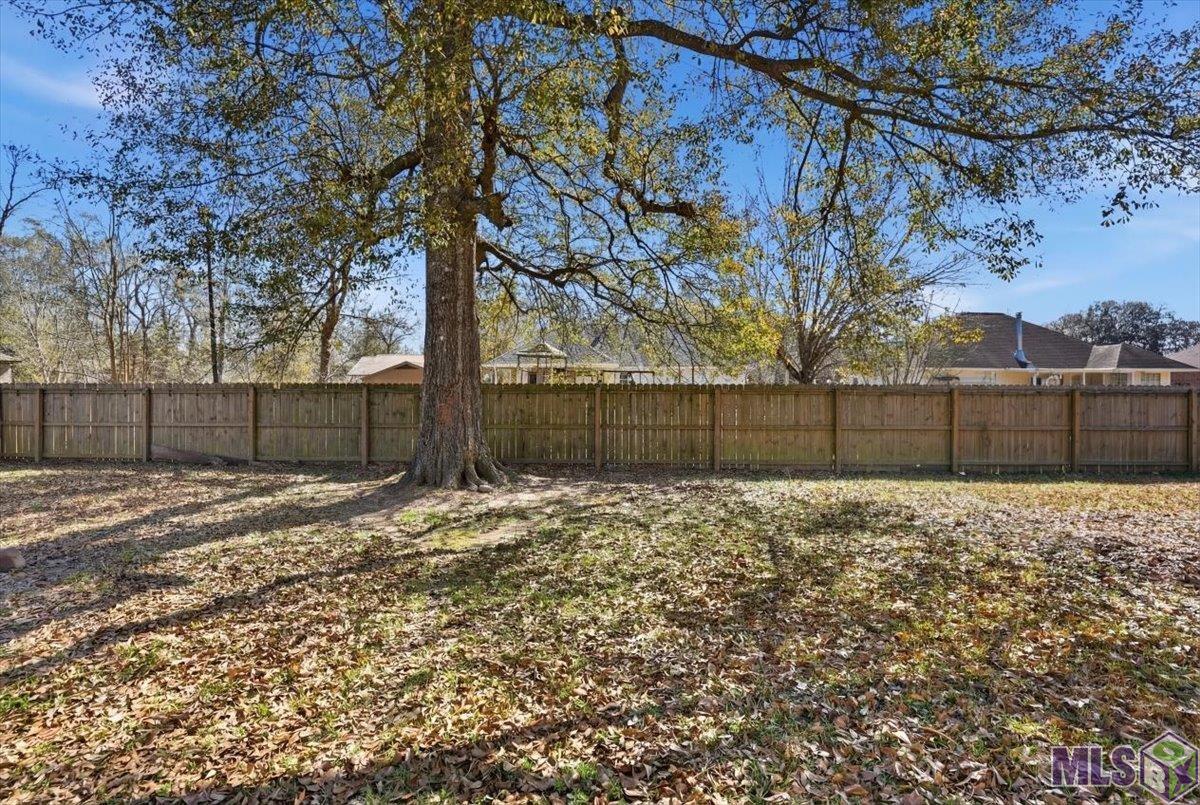 30132 Jacob Street Albany, LA 70711 - Photo 12 of 14