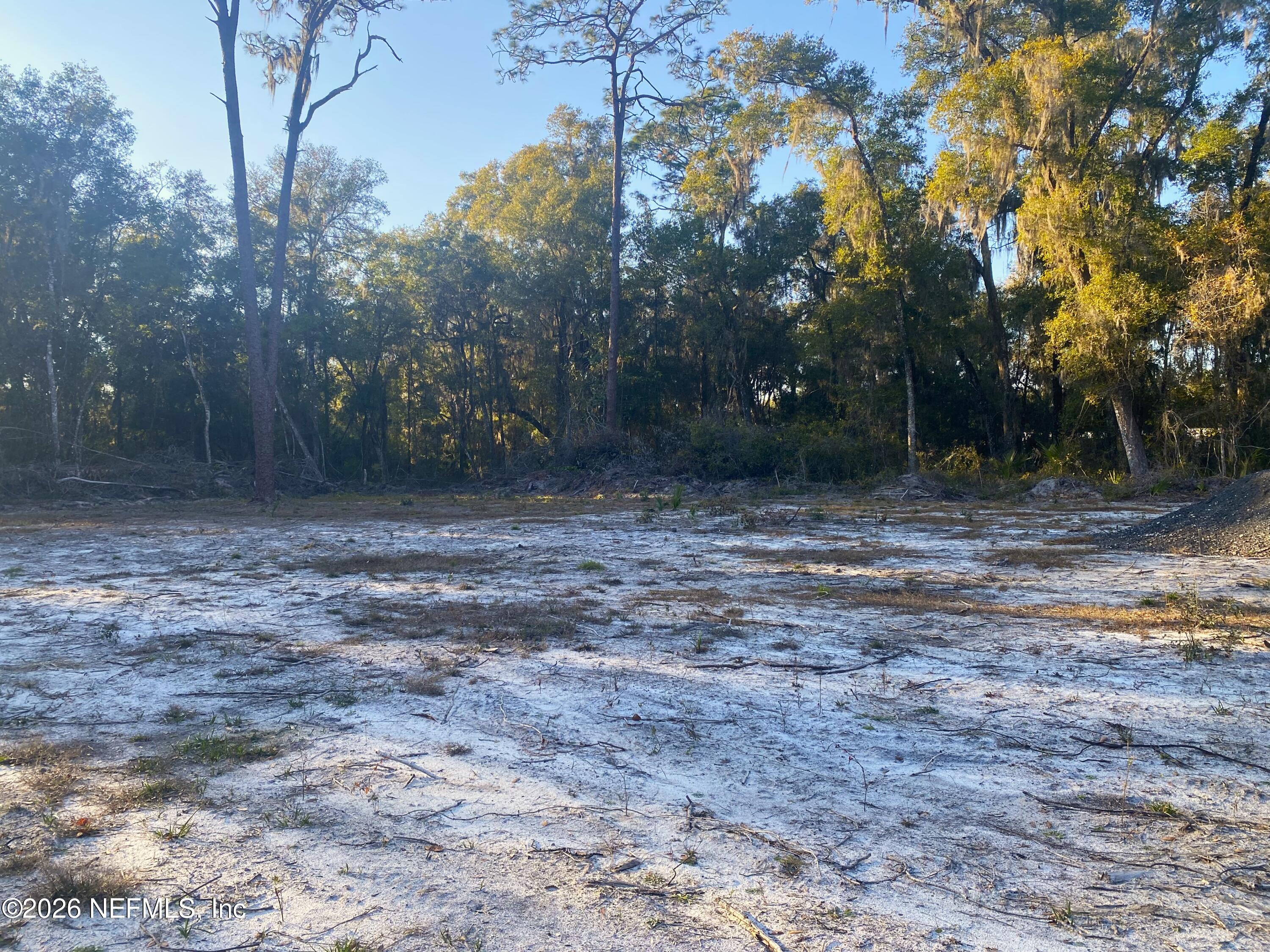 a view of a fire pit with large trees