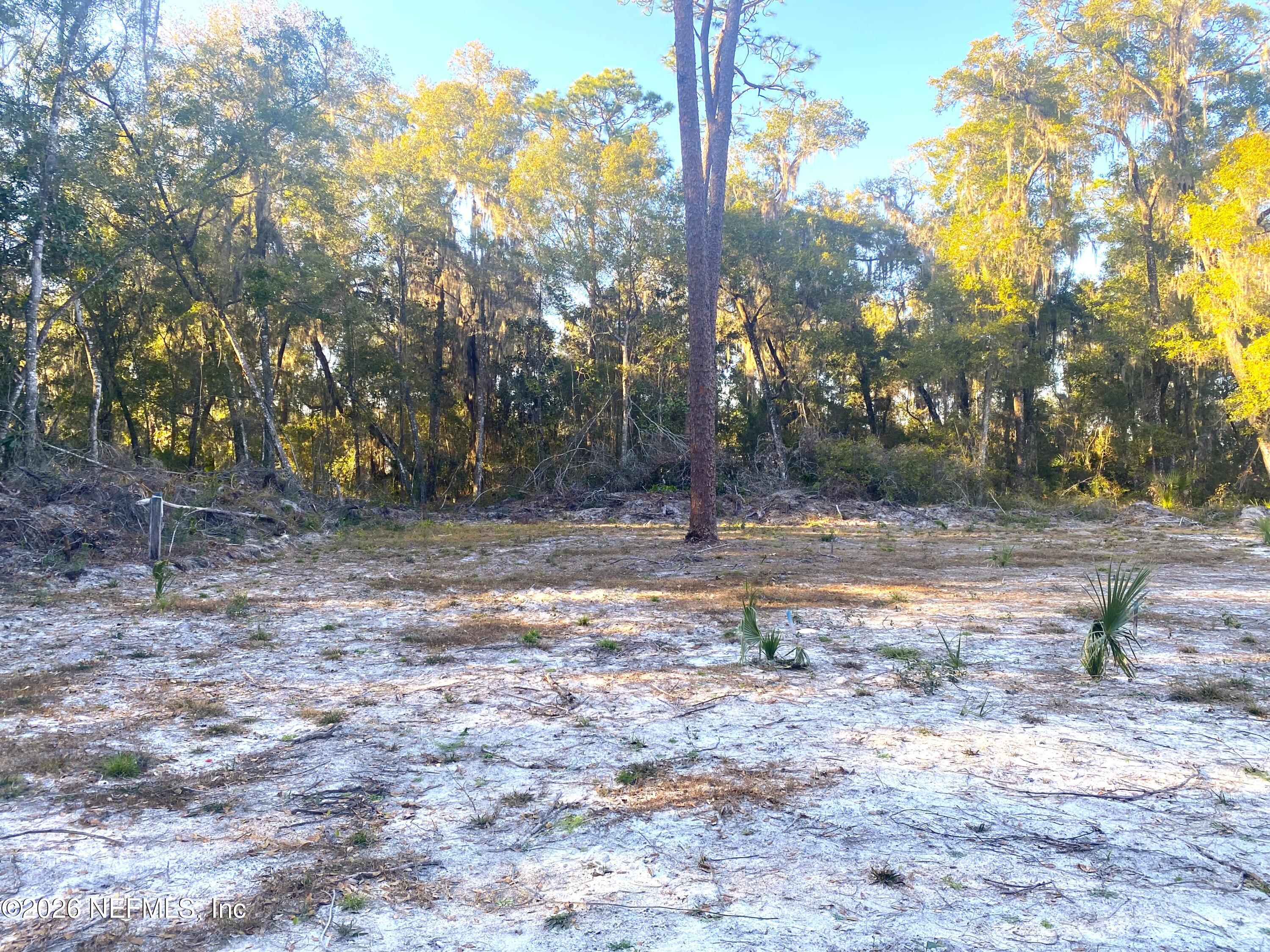 117 Brown Road Satsuma, FL 32189 - Photo 11 of 15 a view of a yard with a tree