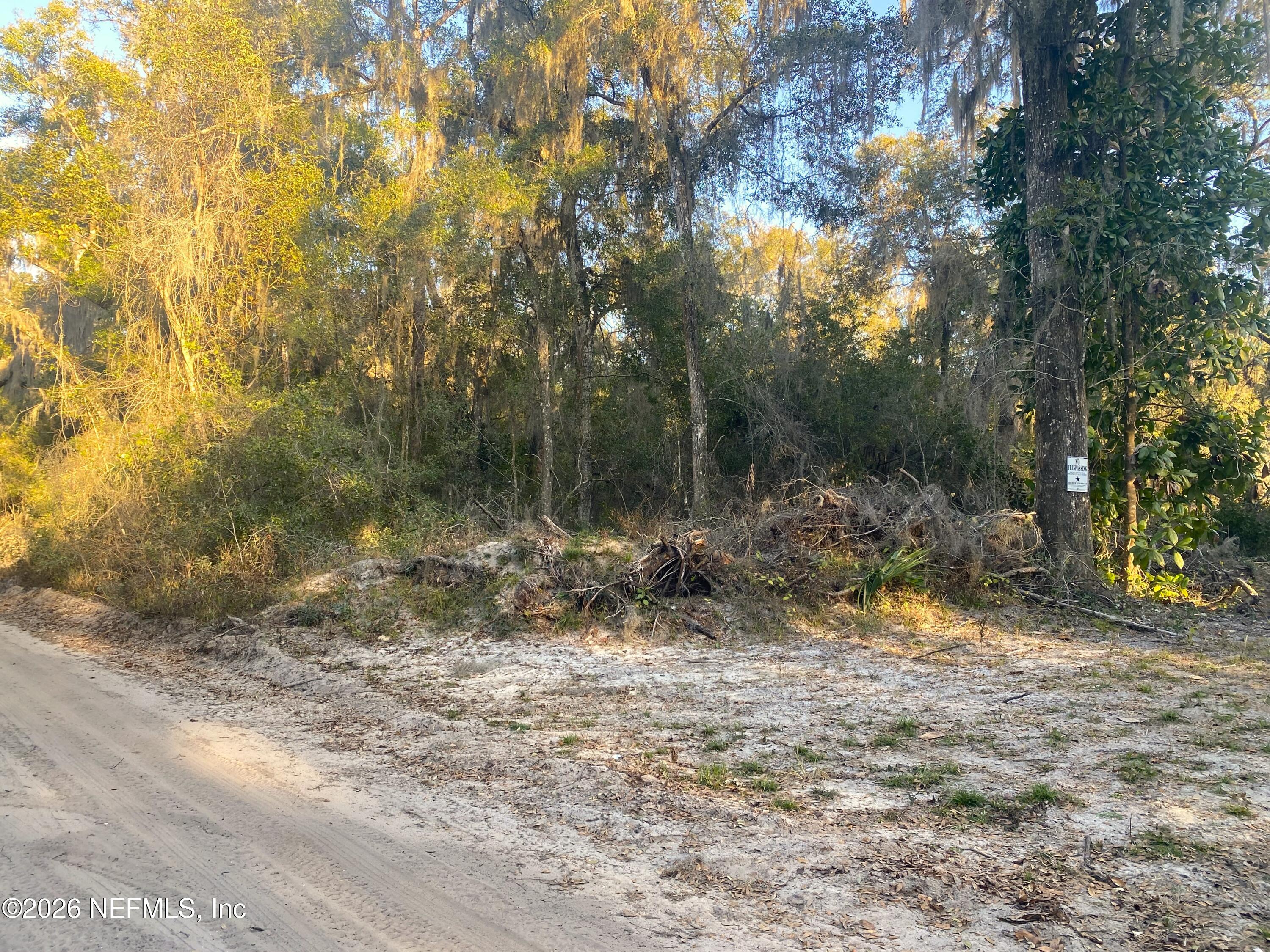 117 Brown Road Satsuma, FL 32189 - Photo 12 of 15 a view of a yard with a tree