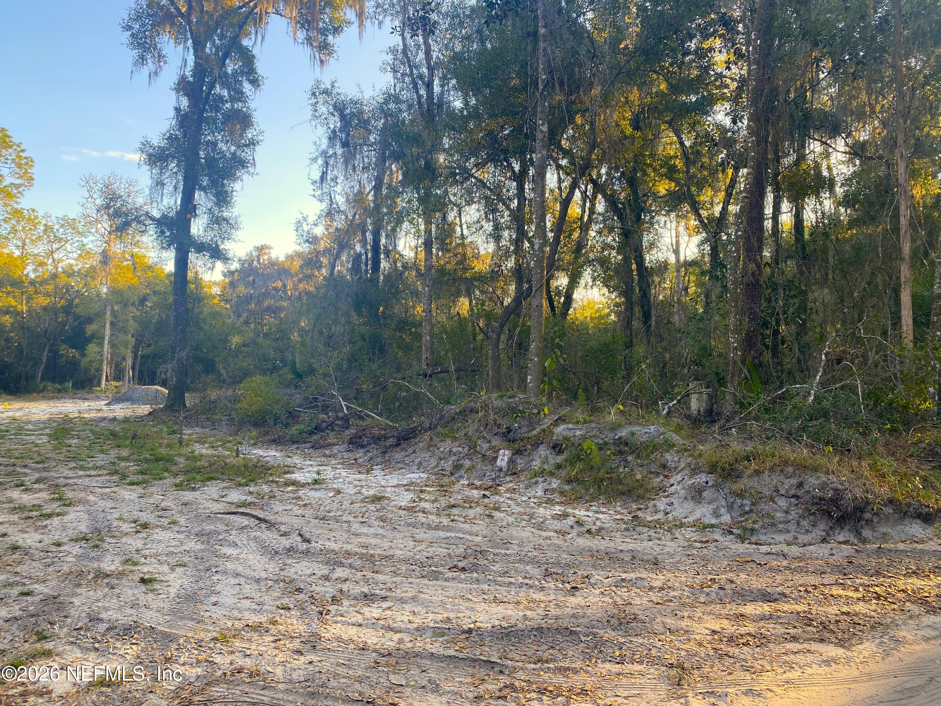 117 Brown Road Satsuma, FL 32189 - Photo 13 of 15 a view of a yard with trees in the background
