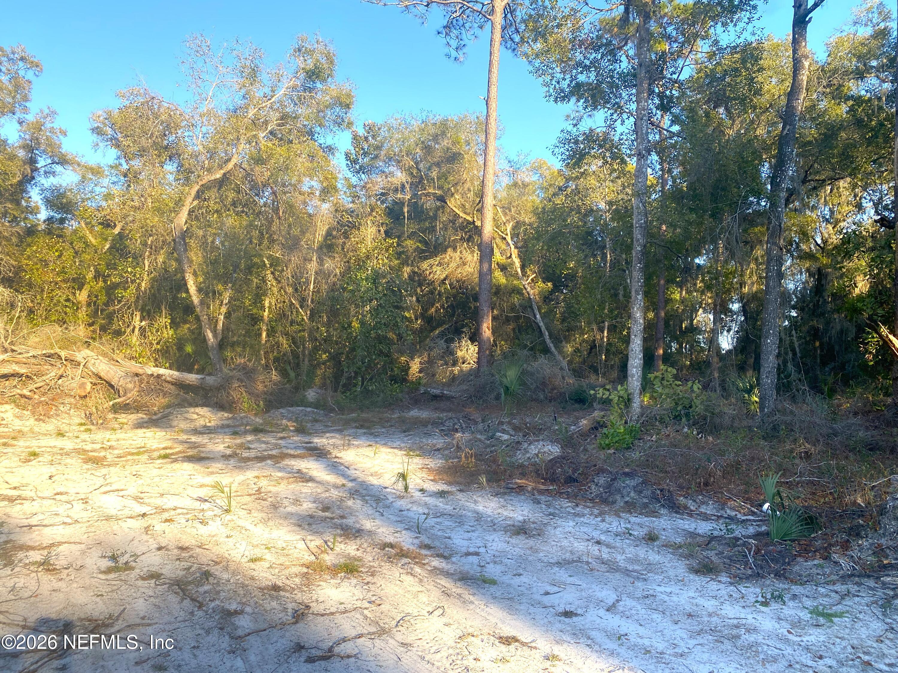 117 Brown Road Satsuma, FL 32189 - Photo 2 of 15 a view of a yard with trees in the background