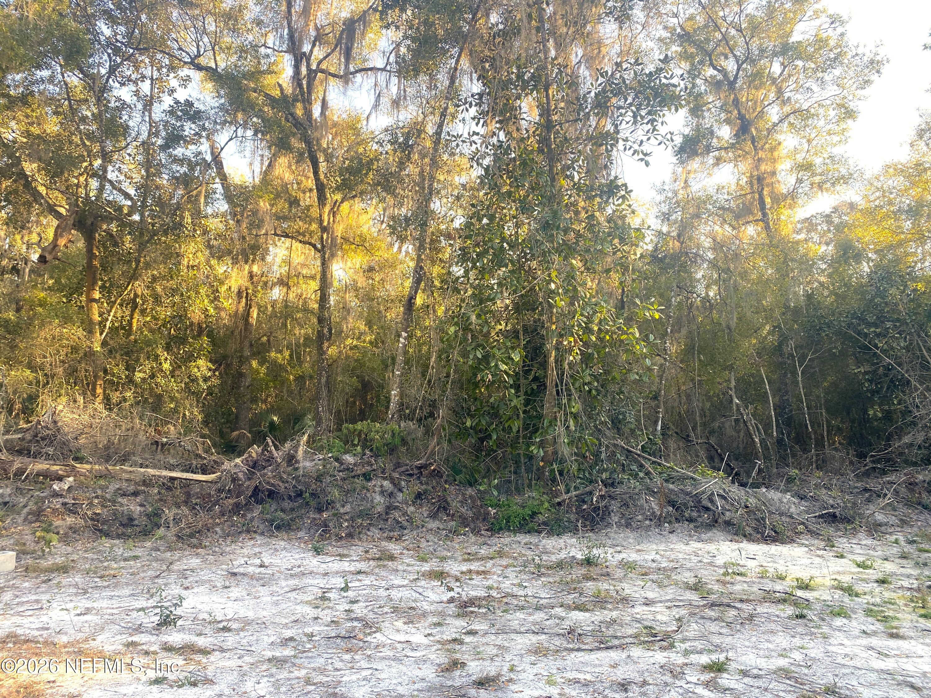 117 Brown Road Satsuma, FL 32189 - Photo 6 of 15 a view of a yard with trees