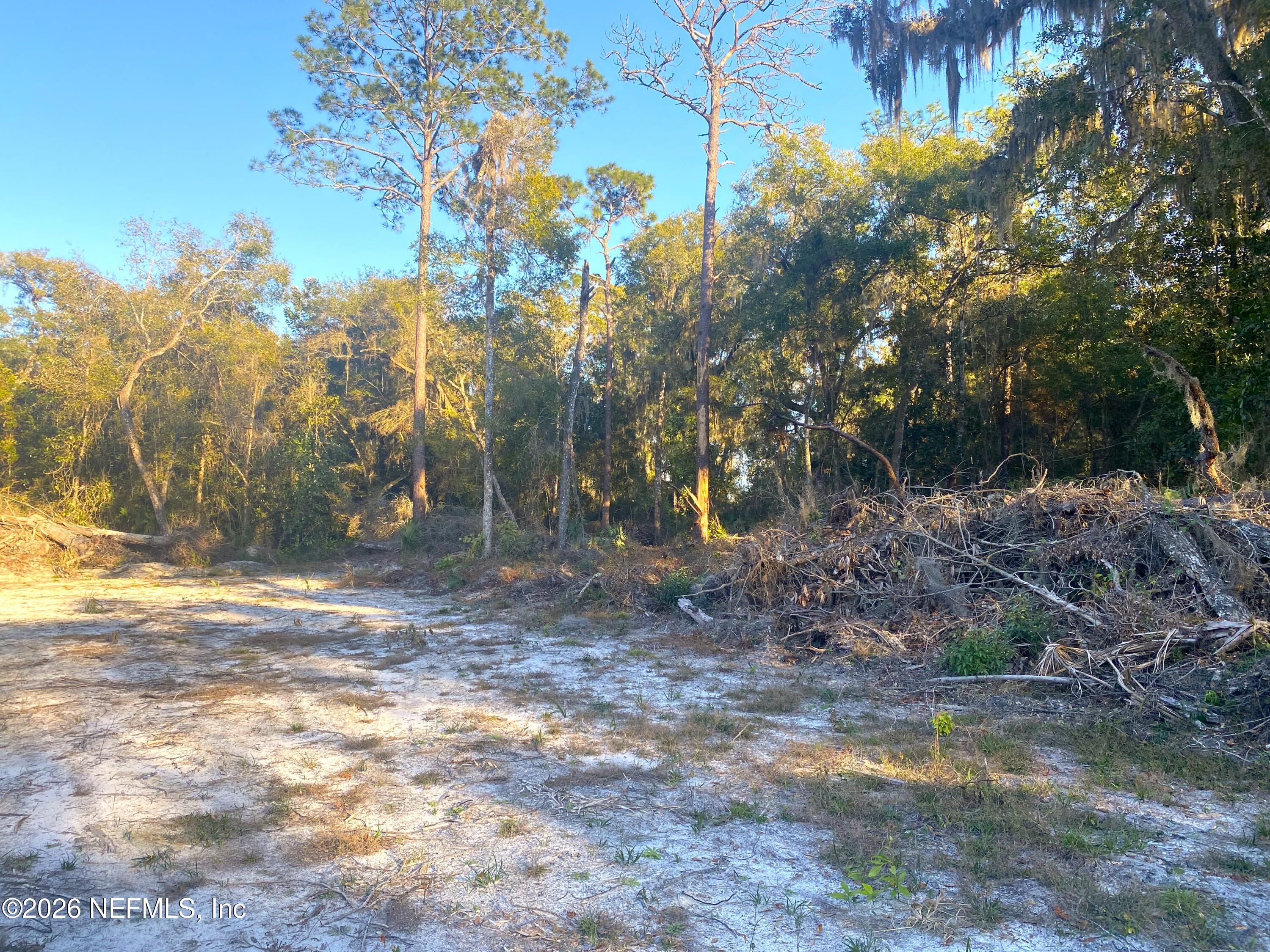 117 Brown Road Satsuma, FL 32189 - Photo 7 of 15 a view of a yard with a tree