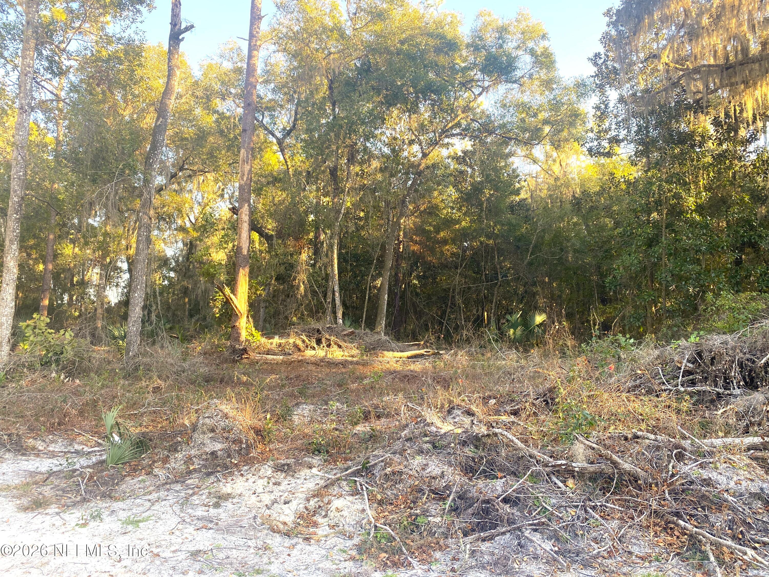 117 Brown Road Satsuma, FL 32189 - Photo 9 of 15 a view of a yard with a tree