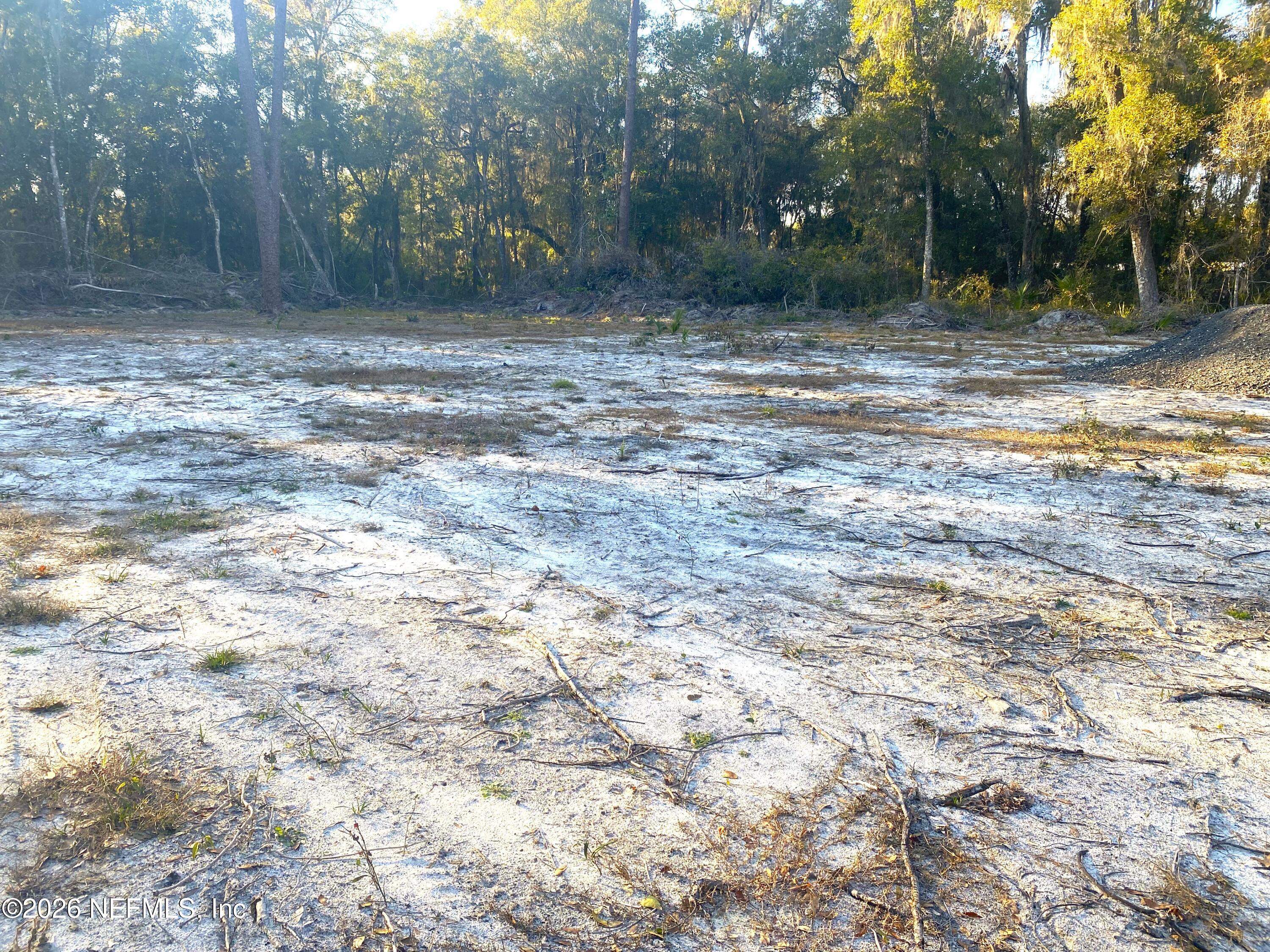 117 Brown Road Satsuma, FL 32189 - Photo 10 of 15 a view of a yard with a tree