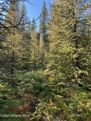 $168,500 | 6 Usfs 2294 Clark Fork, Clark Fork, ID 83811