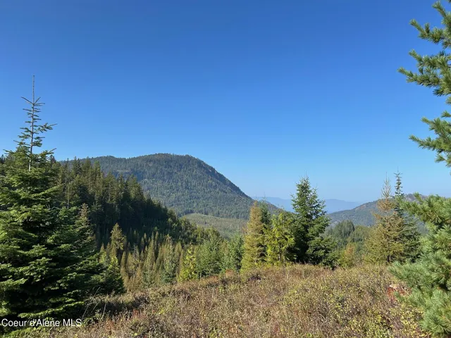$168,500 | 6 Usfs 2294 Clark Fork, Clark Fork, ID 83811