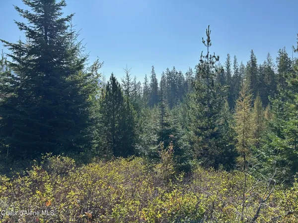 $168,500 | 6 Usfs 2294 Clark Fork, Clark Fork, ID 83811