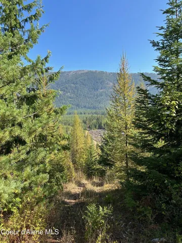 $168,500 | 6 Usfs 2294 Clark Fork, Clark Fork, ID 83811