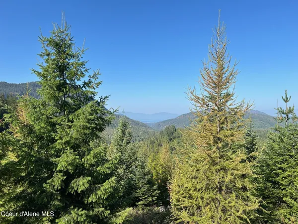 $168,500 | 6 Usfs 2294 Clark Fork, Clark Fork, ID 83811