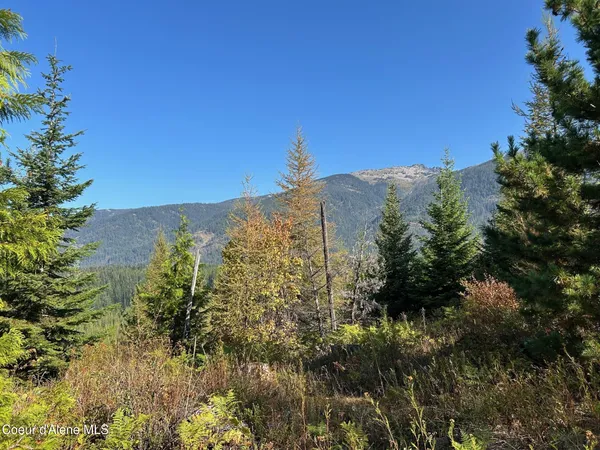 $168,500 | 6 Usfs 2294 Clark Fork, Clark Fork, ID 83811