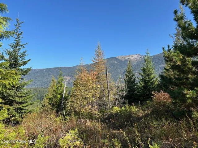 $168,500 | 6 Usfs 2294 Clark Fork, Clark Fork, ID 83811