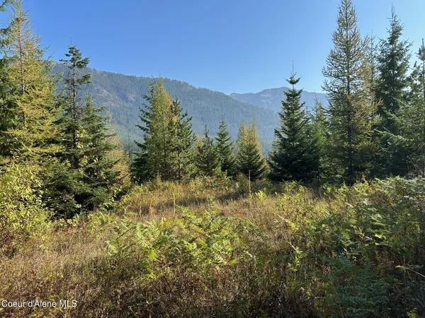 $168,500 | 6 Usfs 2294 Clark Fork, Clark Fork, ID 83811