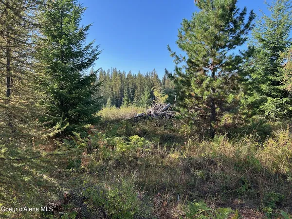 $168,500 | 6 Usfs 2294 Clark Fork, Clark Fork, ID 83811