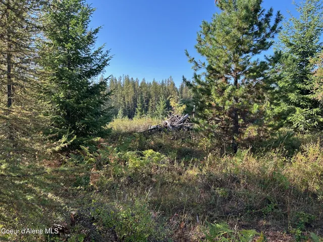 $168,500 | 6 Usfs 2294 Clark Fork, Clark Fork, ID 83811