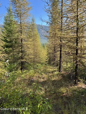 $168,500 | 6 Usfs 2294 Clark Fork, Clark Fork, ID 83811