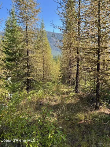 $168,500 | 6 Usfs 2294 Clark Fork, Clark Fork, ID 83811