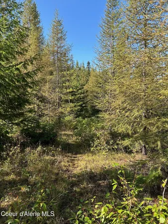 $168,500 | 6 Usfs 2294 Clark Fork, Clark Fork, ID 83811