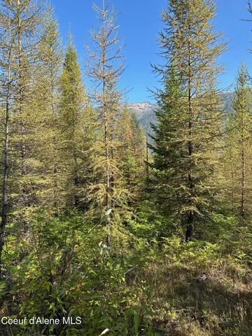 $168,500 | 6 Usfs 2294 Clark Fork, Clark Fork, ID 83811