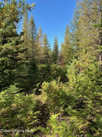 $168,500 | 6 Usfs 2294 Clark Fork, Clark Fork, ID 83811