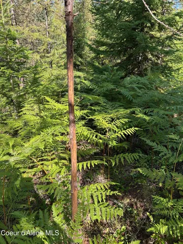 $168,500 | 6 Usfs 2294 Clark Fork, Clark Fork, ID 83811