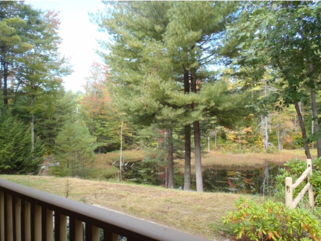 129 Clark Hill Road New Boston, NH 03070 - Photo 3 of 28