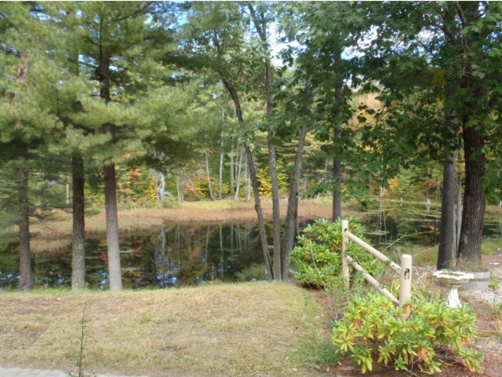 129 Clark Hill Road New Boston, NH 03070 - Photo 4 of 28