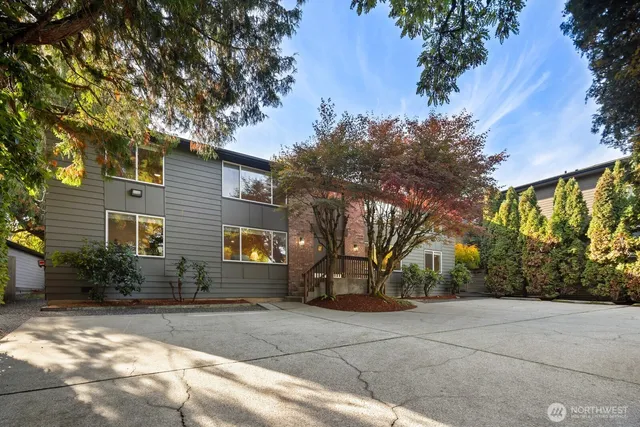 a backyard of a house with plants and trees
