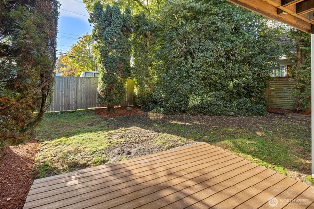 a view of backyard with tree