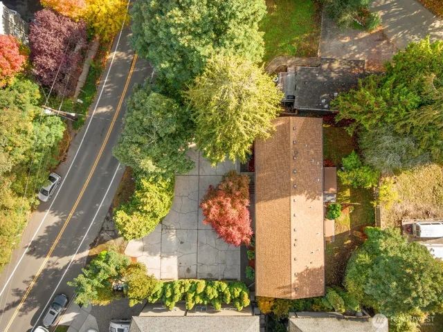 a view of a garden from a balcony