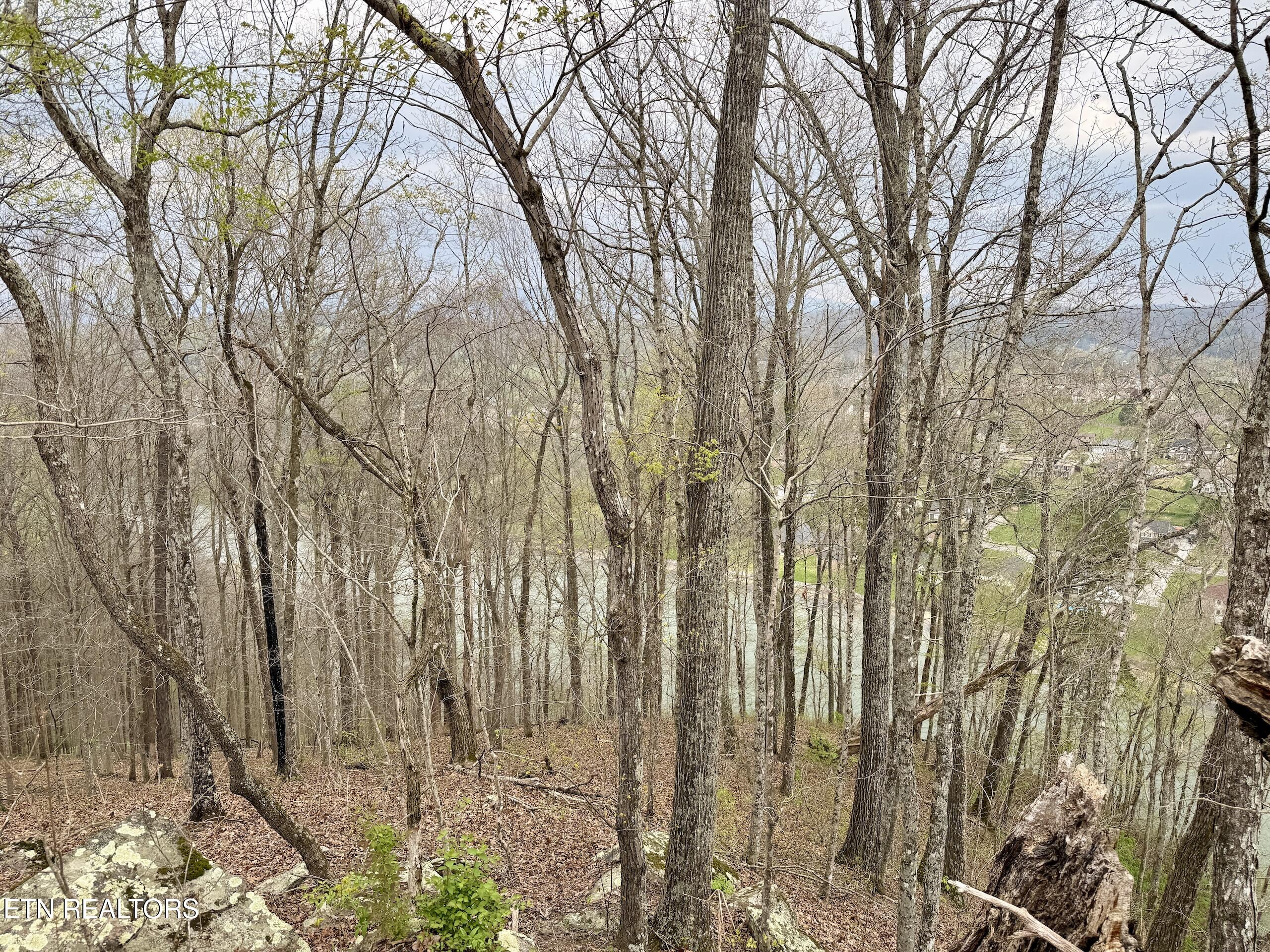 Ridgeview Drive Clinton, TN 37716 - Photo 6 of 15 2-6
