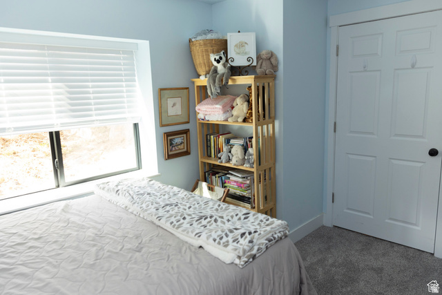 7532 North Castle Rock Road Eagle Mountain, UT 84005 - Photo 33 of 40 Basement Bedroom, clean comfortable and good natural light.