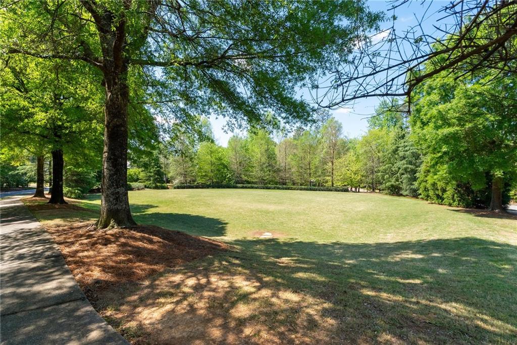 7240 Samples Field Road Cumming, GA 30040 - Photo 70 of 84 a view of a yard with trees