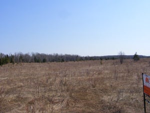 Lot B Martin Road Moran, MI 49760 - Photo 1 of 1 Gallery Image 1