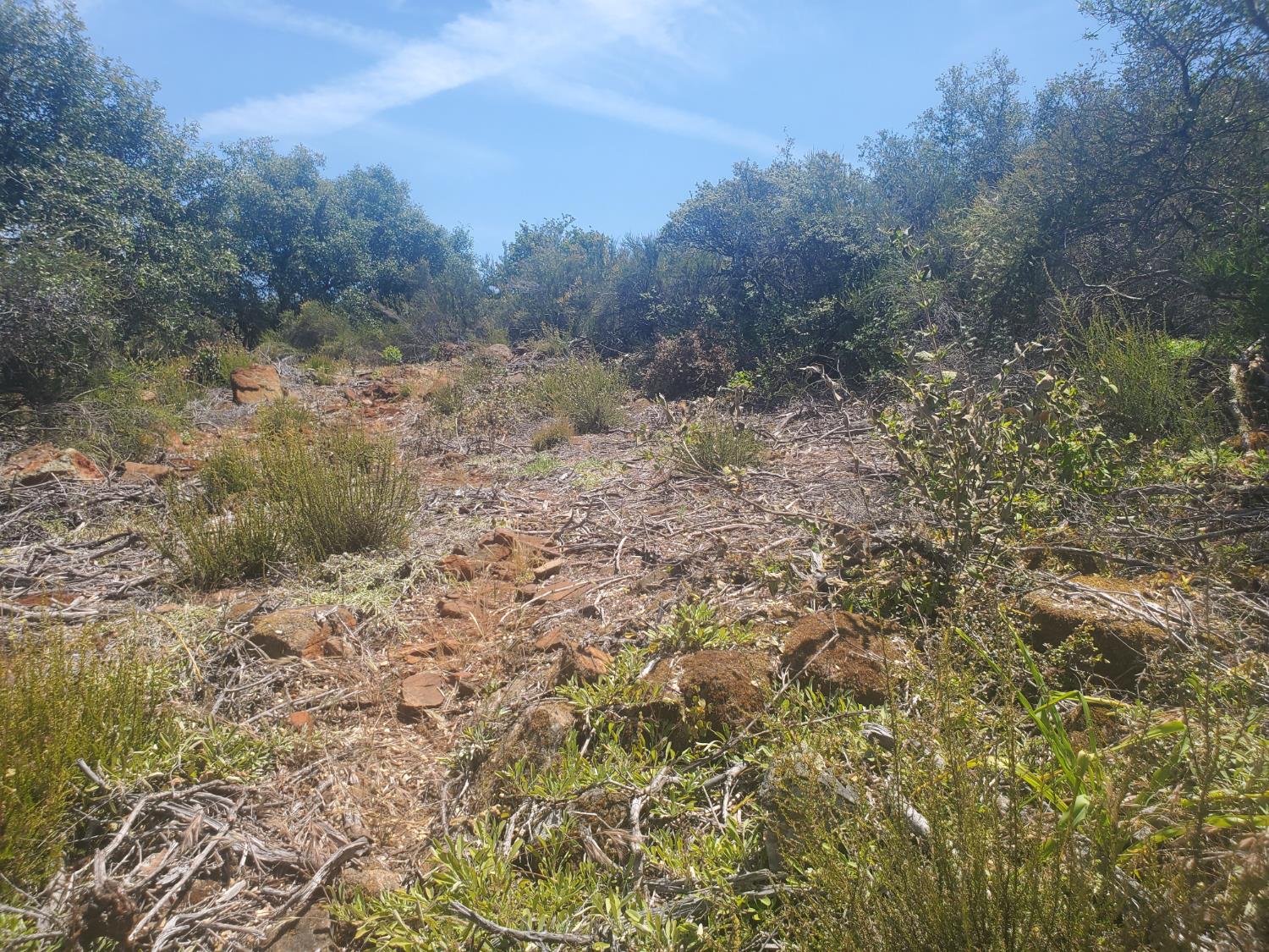 1190 Jurgens Road Rescue, CA 95672 - Photo 9 of 29 a view of a dry yard