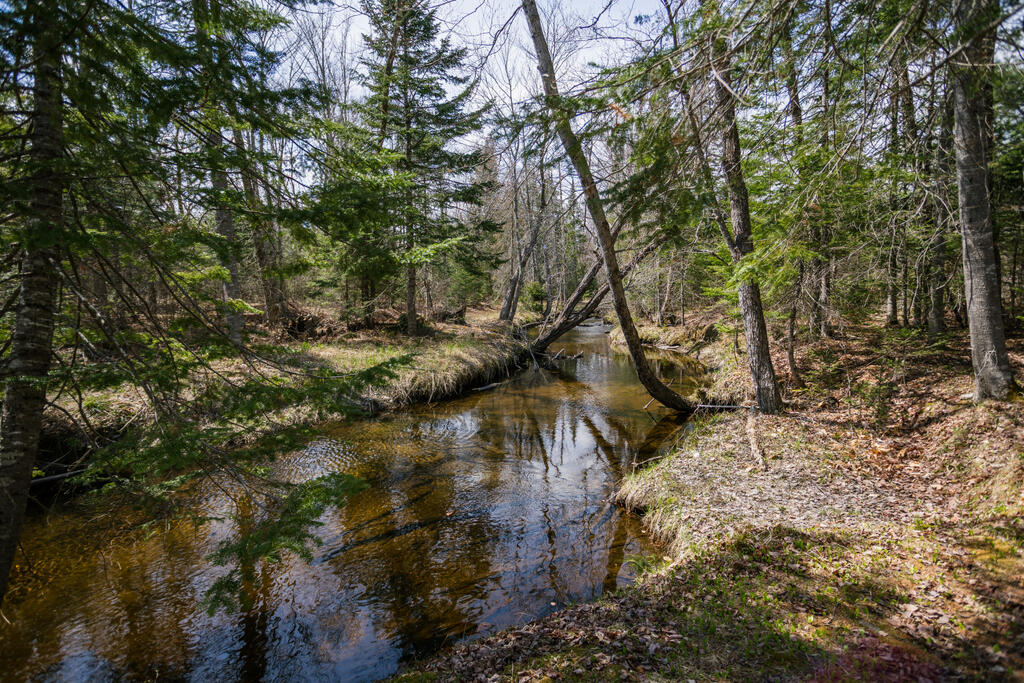 461 4 Mile Square Road Anson, ME 04911 - Photo 3 of 49 taylor-kaminsky-photo-9