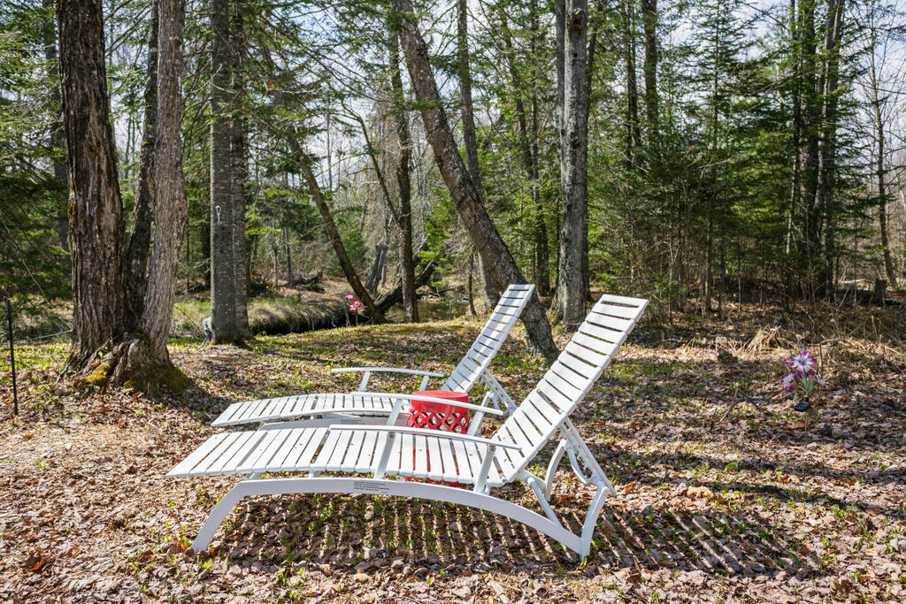 461 4 Mile Square Road Anson, ME 04911 - Photo 37 of 49 taylor-kaminsky-photo-8