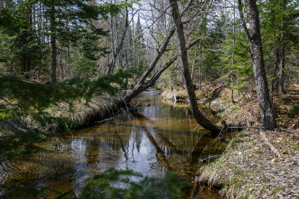461 4 Mile Square Road Anson, ME 04911 - Photo 38 of 49 taylor-kaminsky-photo-10
