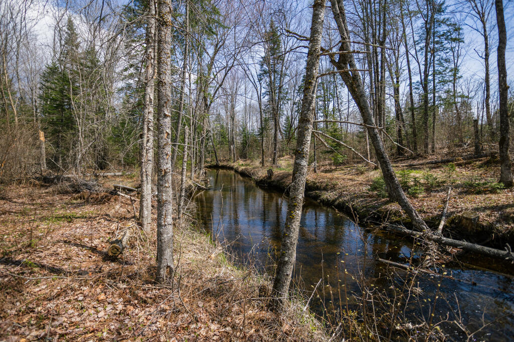 461 4 Mile Square Road Anson, ME 04911 - Photo 4 of 49 taylor-kaminsky-photo-15